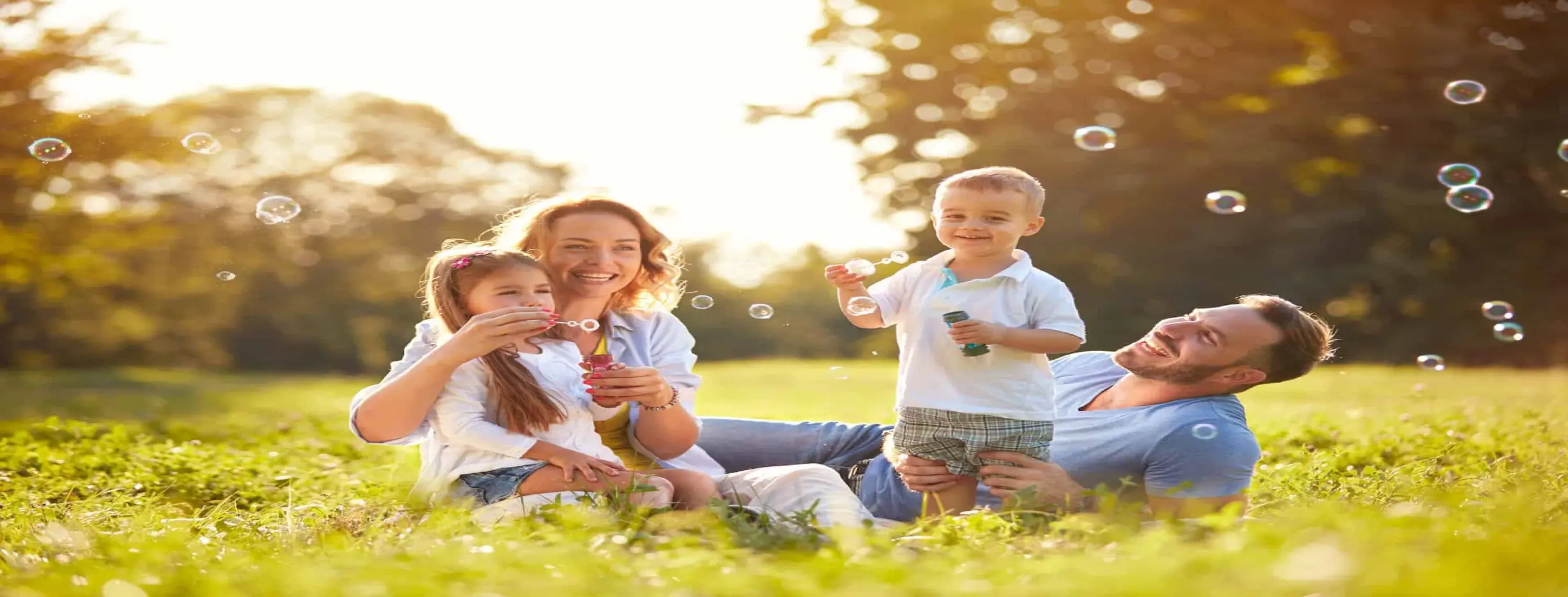 Image for Family Fun